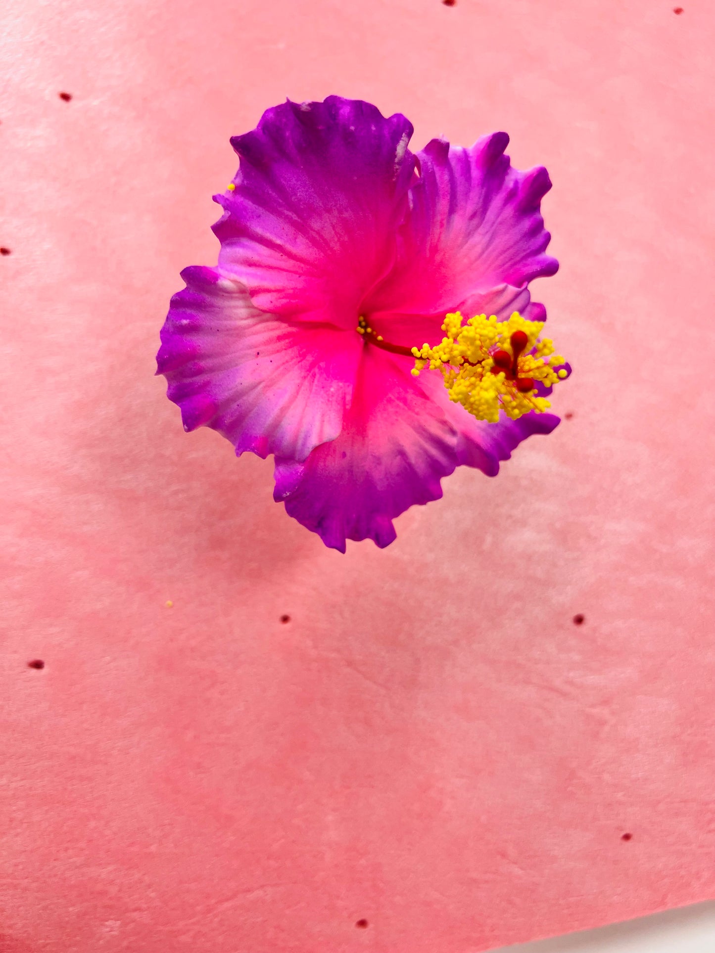 HIBISCUS hair flower Fuchsia Pink combination AOLFL028 (9cm)