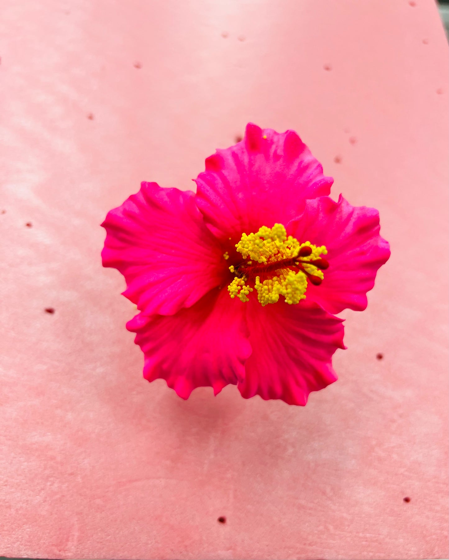 HIBISCUS Hair Flower Pink- AOLFL007 (9cm)