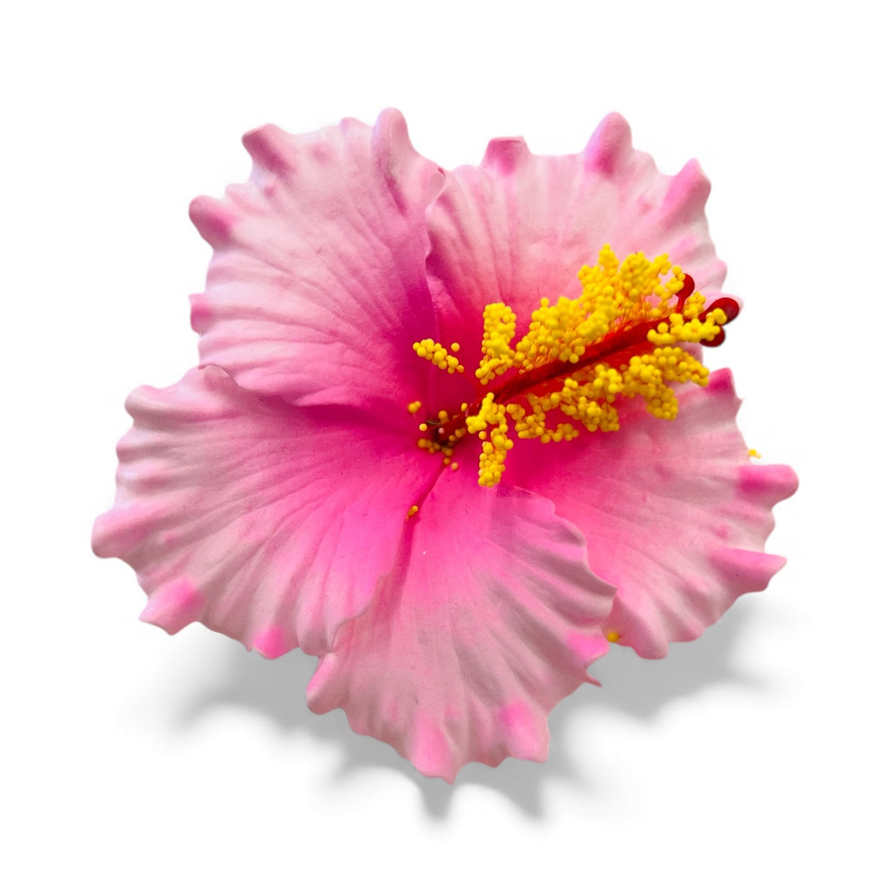 HIBISCUS Hair Flower Light Pink AOLFL027 - (9cm)