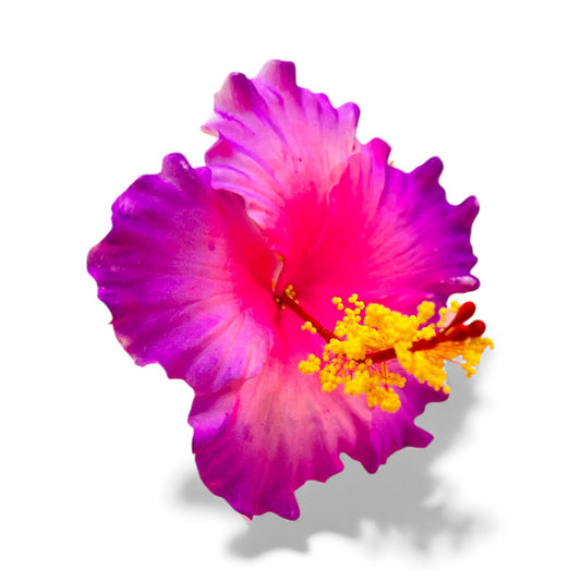 HIBISCUS hair flower Fuchsia Pink combination AOLFL028 (9cm)