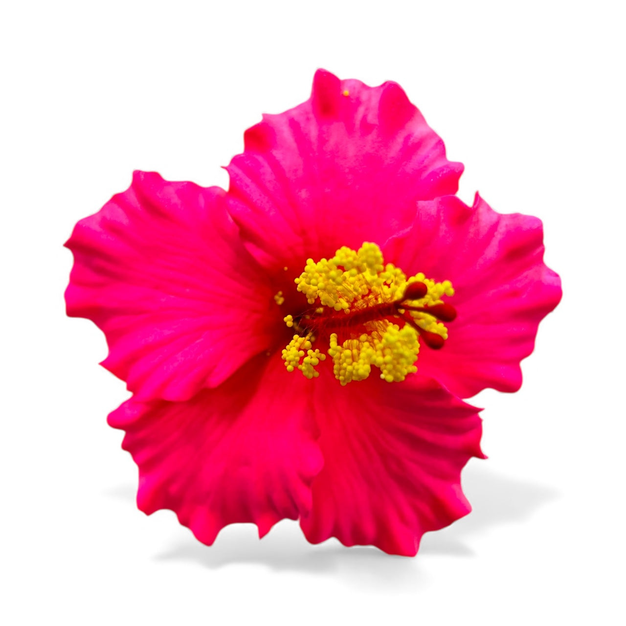 HIBISCUS Hair Flower Pink- AOLFL007 (9cm)