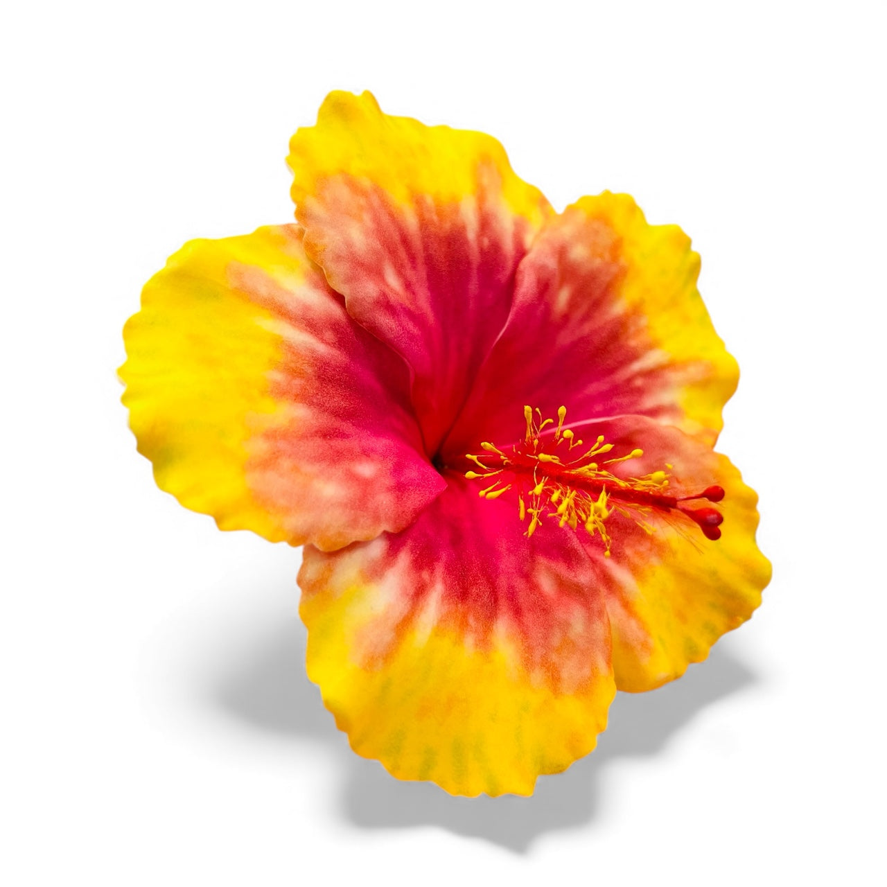 HIBISCUS Hair Flower yellow red- AOLFL006 (9cm)